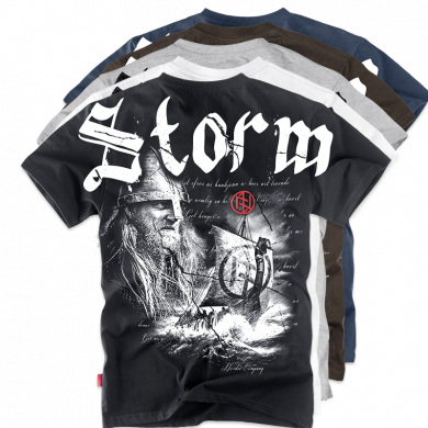 da_t_storm-ts151