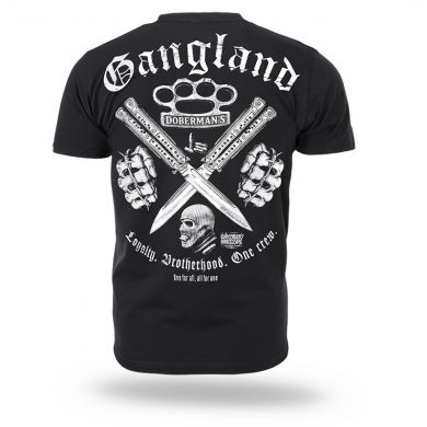 TS384-01