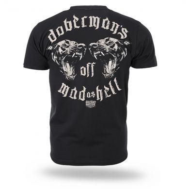 TS383-01